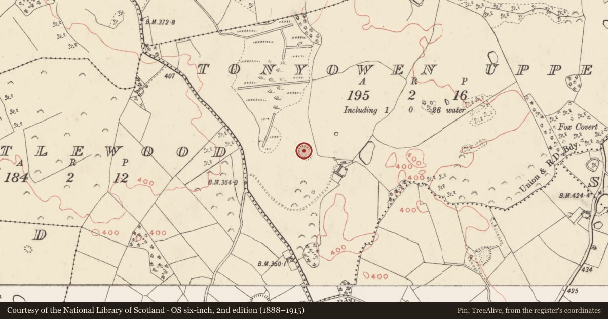 Ordnance Survey six-inch map, 2nd edition (1888–1915) covering the location of Ringfort - unclassified, Tonyowen Upper, County Westmeath, with a pin at the register's coordinates