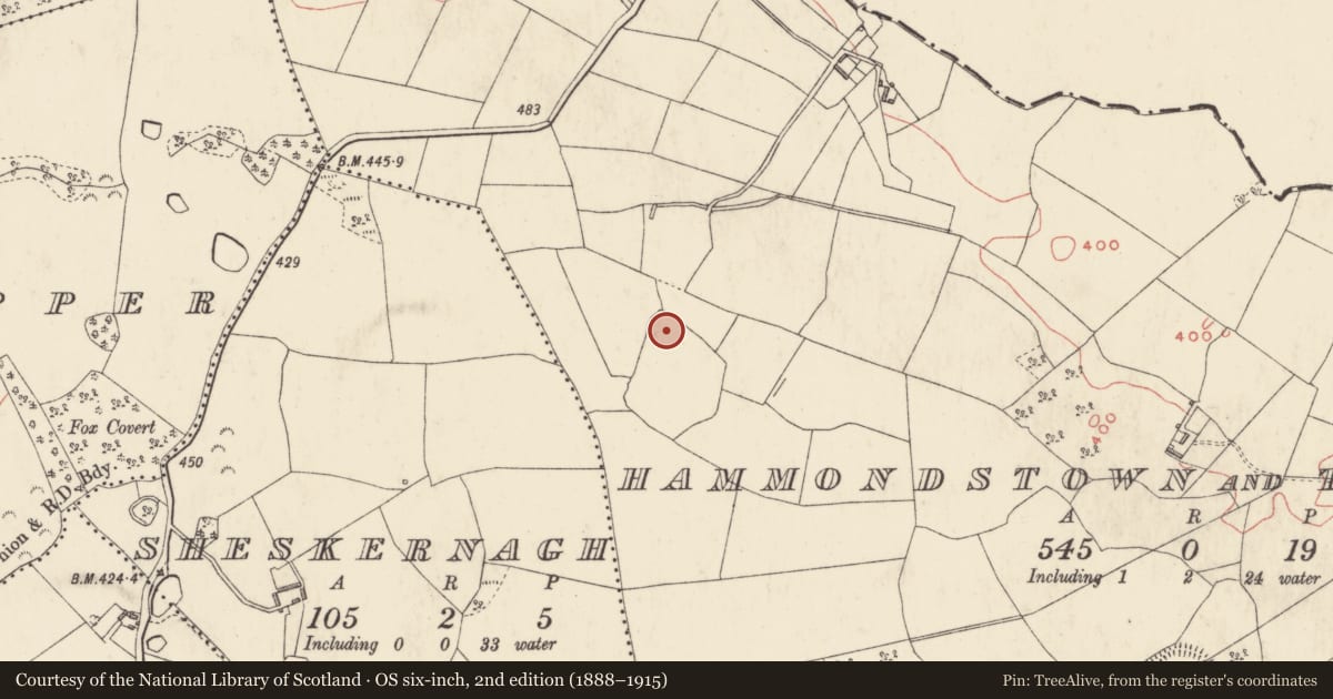 Ordnance Survey six-inch map, 2nd edition (1888–1915) covering the location of Ringfort - unclassified, Hammondstown And Tonaghmore, County Westmeath, with a pin at the register's coordinates