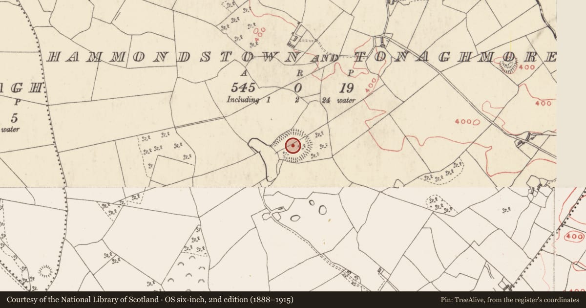 Ordnance Survey six-inch map, 2nd edition (1888–1915) covering the location of Ringfort - rath, Hammondstown And Tonaghmore, County Westmeath, with a pin at the register's coordinates