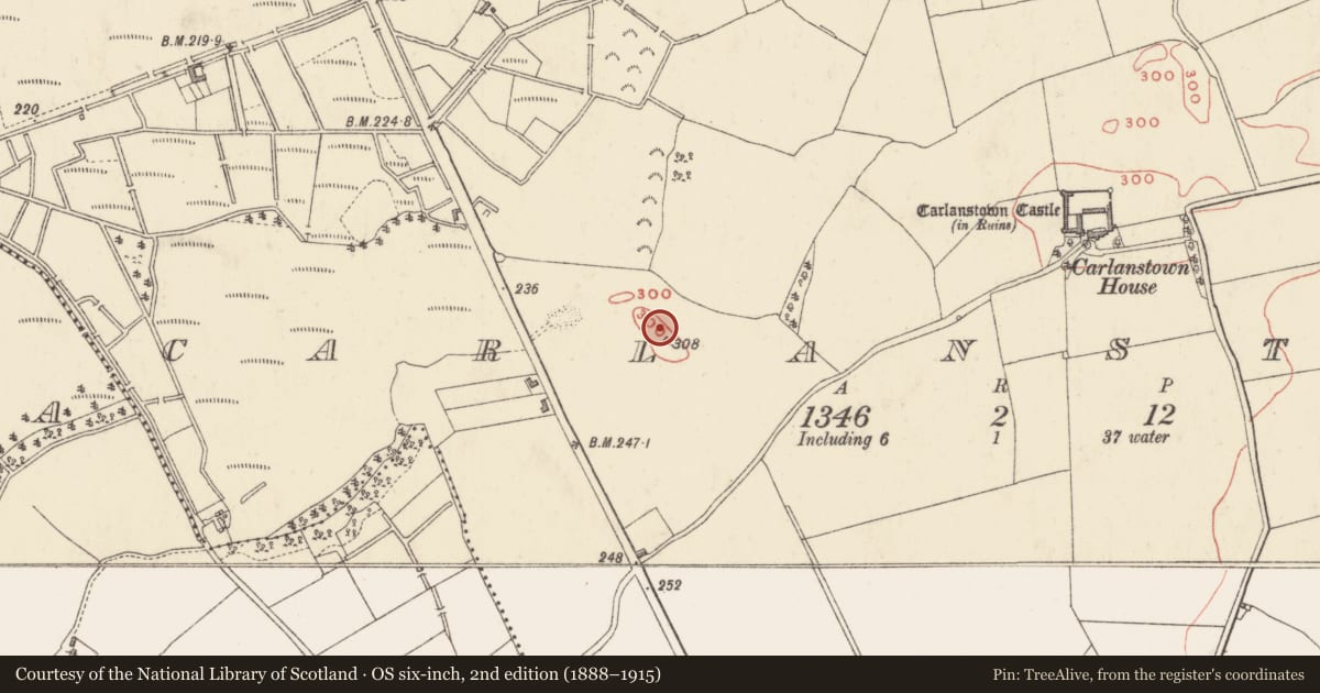 Ordnance Survey six-inch map, 2nd edition (1888–1915) covering the location of Burial ground, Carlanstown, County Westmeath, with a pin at the register's coordinates