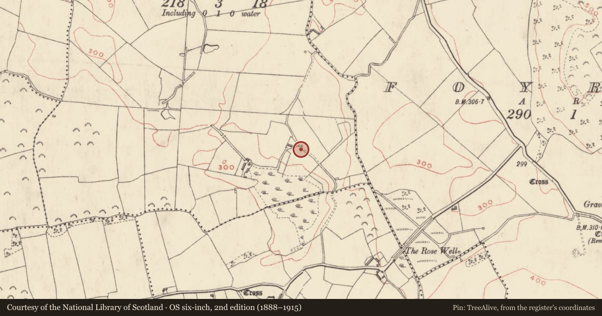 Ordnance Survey six-inch map, 2nd edition (1888–1915) covering the location of Burial ground, Ardnagross, County Westmeath, with a pin at the register's coordinates