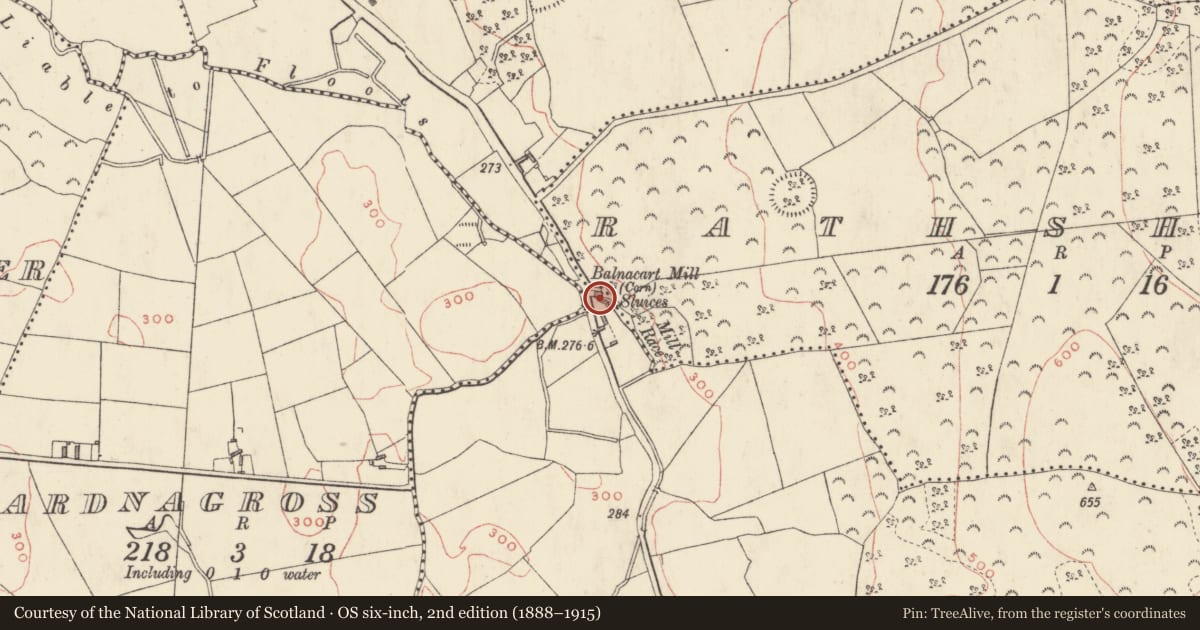 Ordnance Survey six-inch map, 2nd edition (1888–1915) covering the location of Water mill - vertical-wheeled, Foyran, Rathshane, County Westmeath, with a pin at the register's coordinates