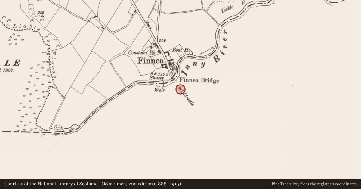 Ordnance Survey six-inch map, 2nd edition (1888–1915) covering the location of Settlement cluster, Finnea, County Westmeath, with a pin at the register's coordinates