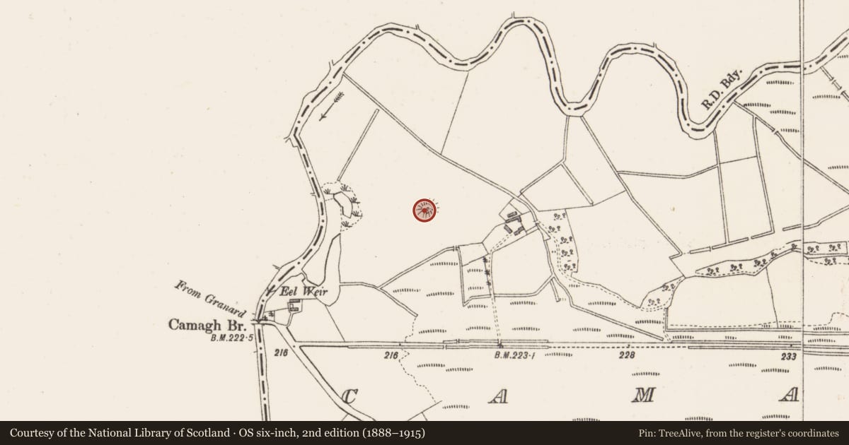 Ordnance Survey six-inch map, 2nd edition (1888–1915) covering the location of Castle - motte, Camagh, County Westmeath, with a pin at the register's coordinates