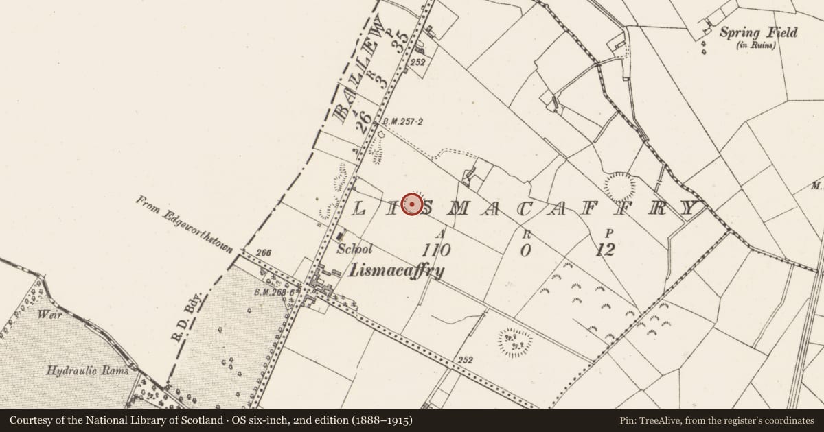 Ordnance Survey six-inch map, 2nd edition (1888–1915) covering the location of Ringfort - rath, Lismacaffry, County Westmeath, with a pin at the register's coordinates