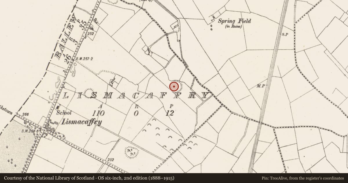 Ordnance Survey six-inch map, 2nd edition (1888–1915) covering the location of Ringfort - rath, Lismacaffry, County Westmeath, with a pin at the register's coordinates