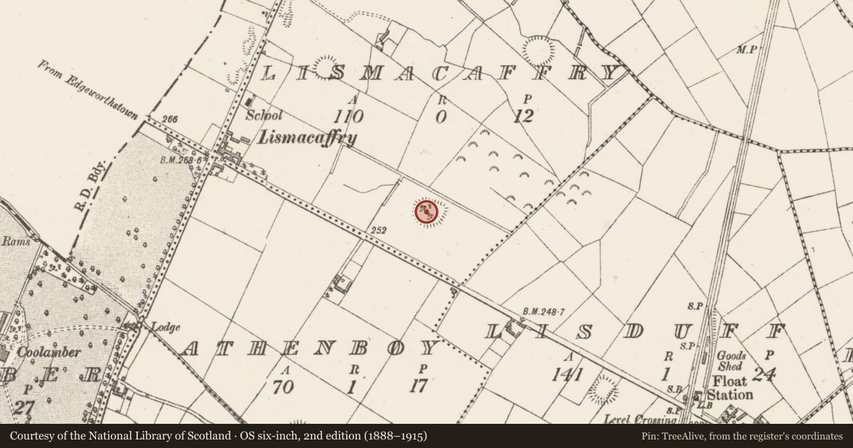 Ordnance Survey six-inch map, 2nd edition (1888–1915) covering the location of Ringfort - rath, Lismacaffry, County Westmeath, with a pin at the register's coordinates