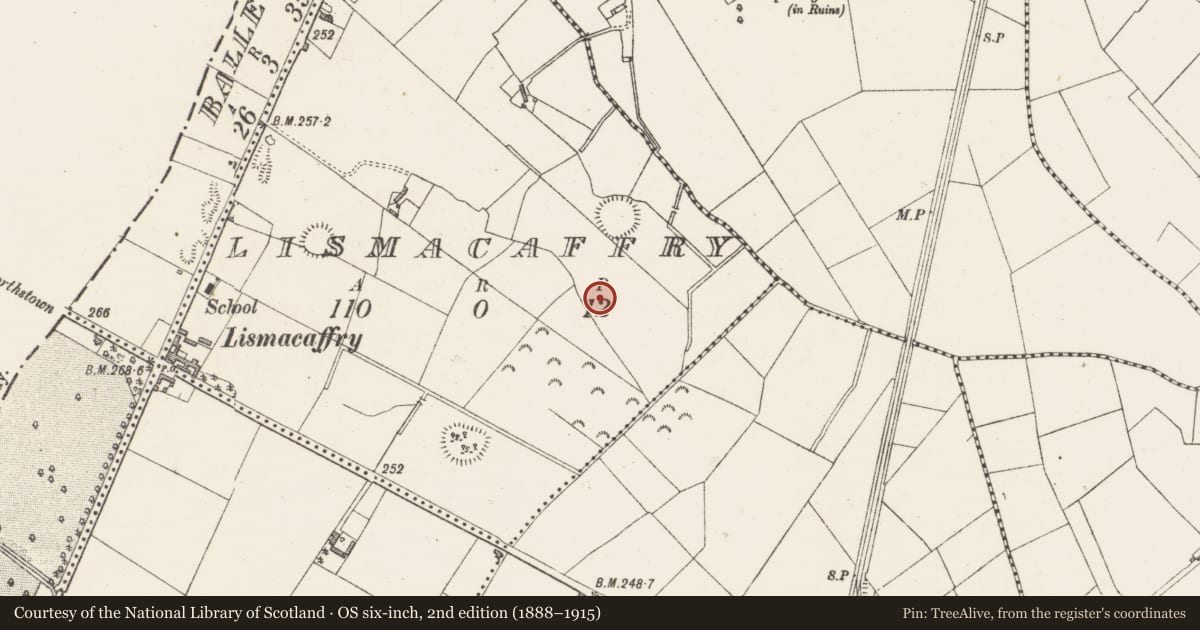 Ordnance Survey six-inch map, 2nd edition (1888–1915) covering the location of Ringfort - rath, Lismacaffry, County Westmeath, with a pin at the register's coordinates