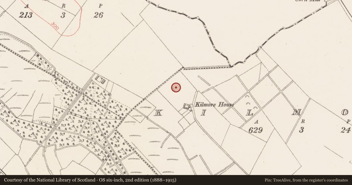 Ordnance Survey six-inch map, 2nd edition (1888–1915) covering the location of Ringfort - rath, Kilmore, County Westmeath, with a pin at the register's coordinates
