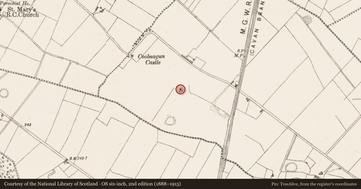 Ordnance Survey six-inch map, 2nd edition (1888–1915) covering the location of Castle - motte, Coolnagun, County Westmeath, with a pin at the register's coordinates