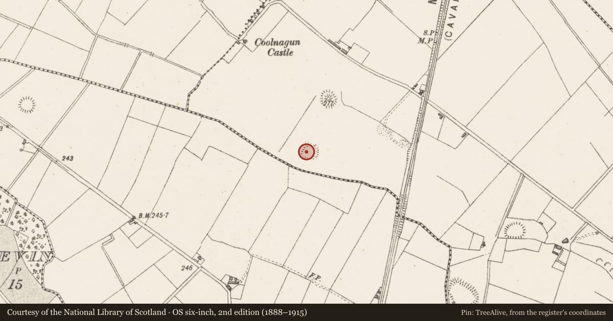 Ordnance Survey six-inch map, 2nd edition (1888–1915) covering the location of Moated site, Coolnagun, County Westmeath, with a pin at the register's coordinates