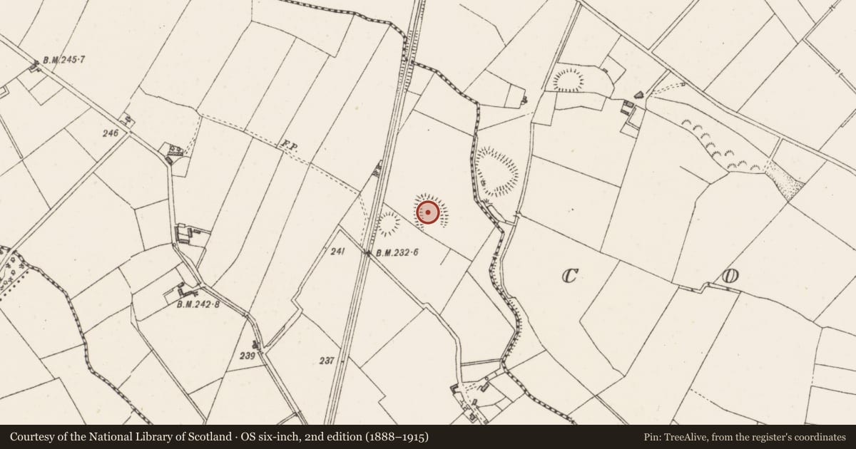 Ordnance Survey six-inch map, 2nd edition (1888–1915) covering the location of Ringfort - rath, Correaly, County Westmeath, with a pin at the register's coordinates