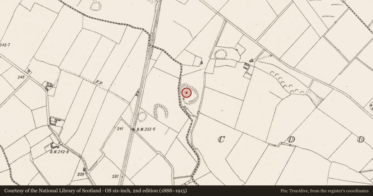 Ordnance Survey six-inch map, 2nd edition (1888–1915) covering the location of Hut site, Coolnagun, County Westmeath, with a pin at the register's coordinates