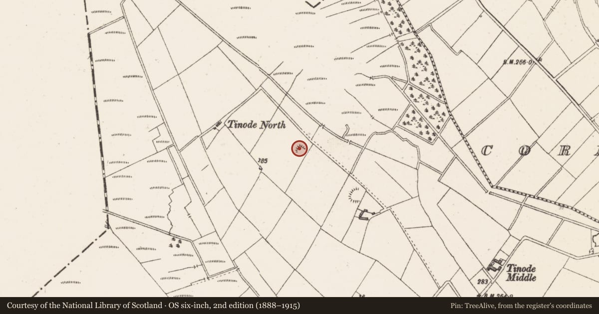 Ordnance Survey six-inch map, 2nd edition (1888–1915) covering the location of Ringfort - rath, Tinode, County Westmeath, with a pin at the register's coordinates