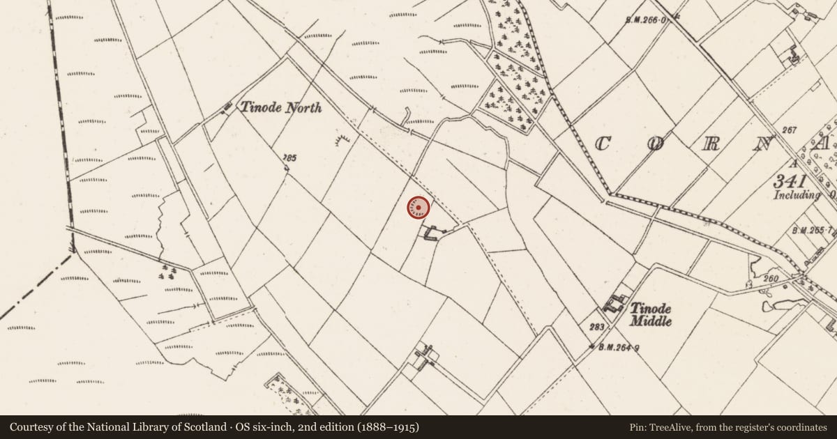 Ordnance Survey six-inch map, 2nd edition (1888–1915) covering the location of Ringfort - rath, Tinode, County Westmeath, with a pin at the register's coordinates