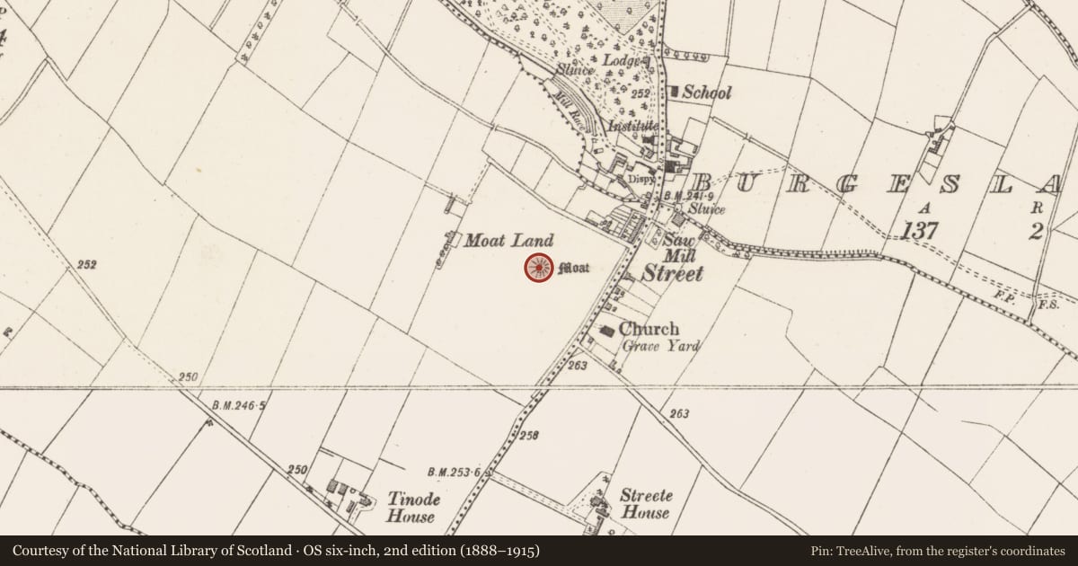 Ordnance Survey six-inch map, 2nd edition (1888–1915) covering the location of Castle - motte and bailey, Tinode, County Westmeath, with a pin at the register's coordinates