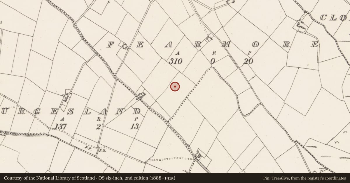 Ordnance Survey six-inch map, 2nd edition (1888–1915) covering the location of Ringfort - rath, Fearmore, County Westmeath, with a pin at the register's coordinates