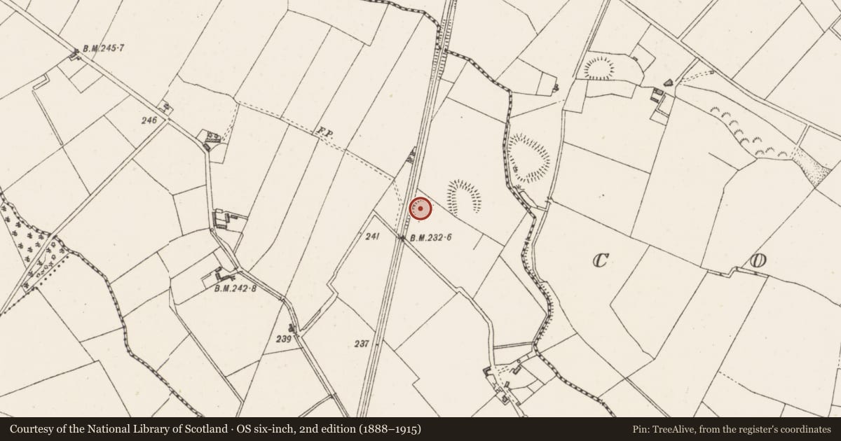 Ordnance Survey six-inch map, 2nd edition (1888–1915) covering the location of Ringfort - rath, Correaly, County Westmeath, with a pin at the register's coordinates