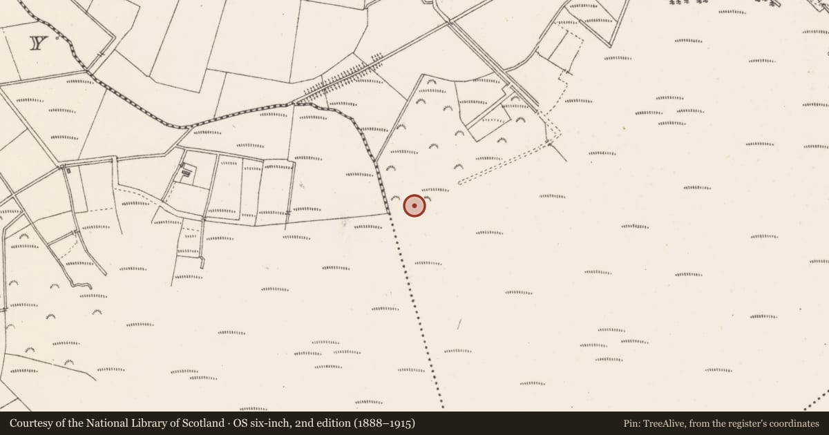 Ordnance Survey six-inch map, 2nd edition (1888–1915) covering the location of Road - unclassified togher, Coolnagun, County Westmeath, with a pin at the register's coordinates
