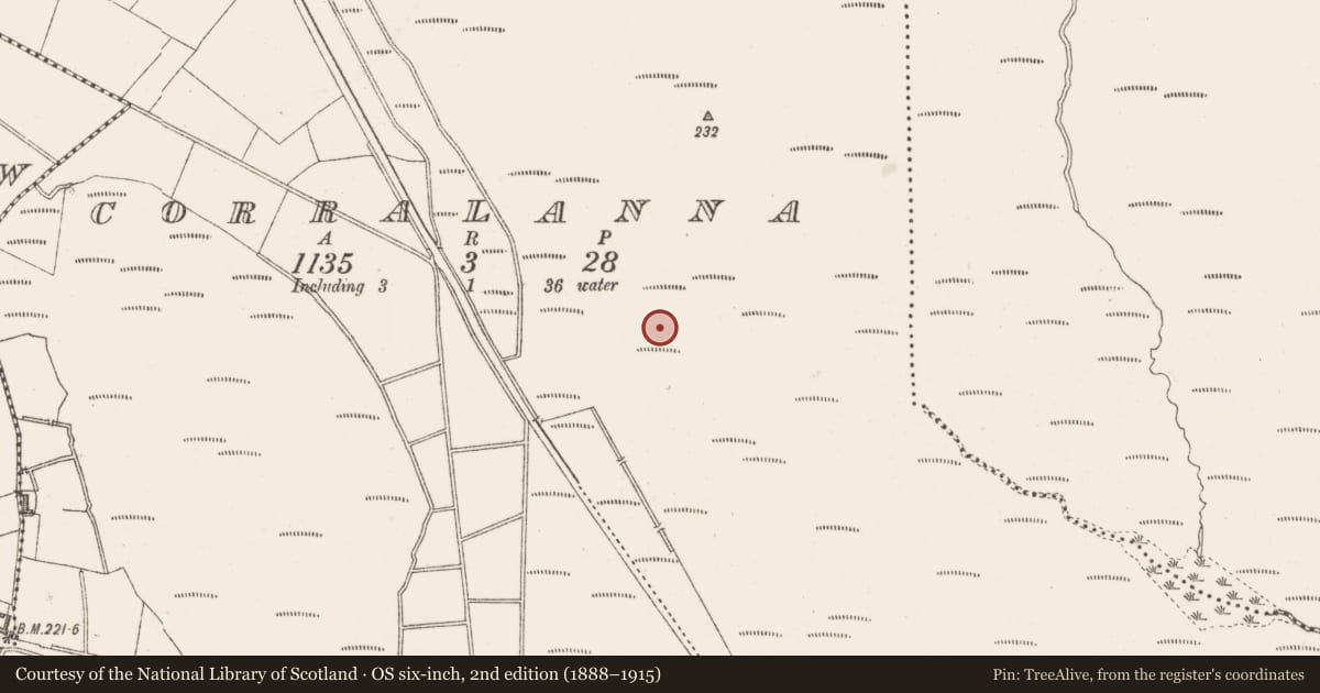 Ordnance Survey six-inch map, 2nd edition (1888–1915) covering the location of Prehistoric site - lithic scatter, Corralanna, County Westmeath, with a pin at the register's coordinates