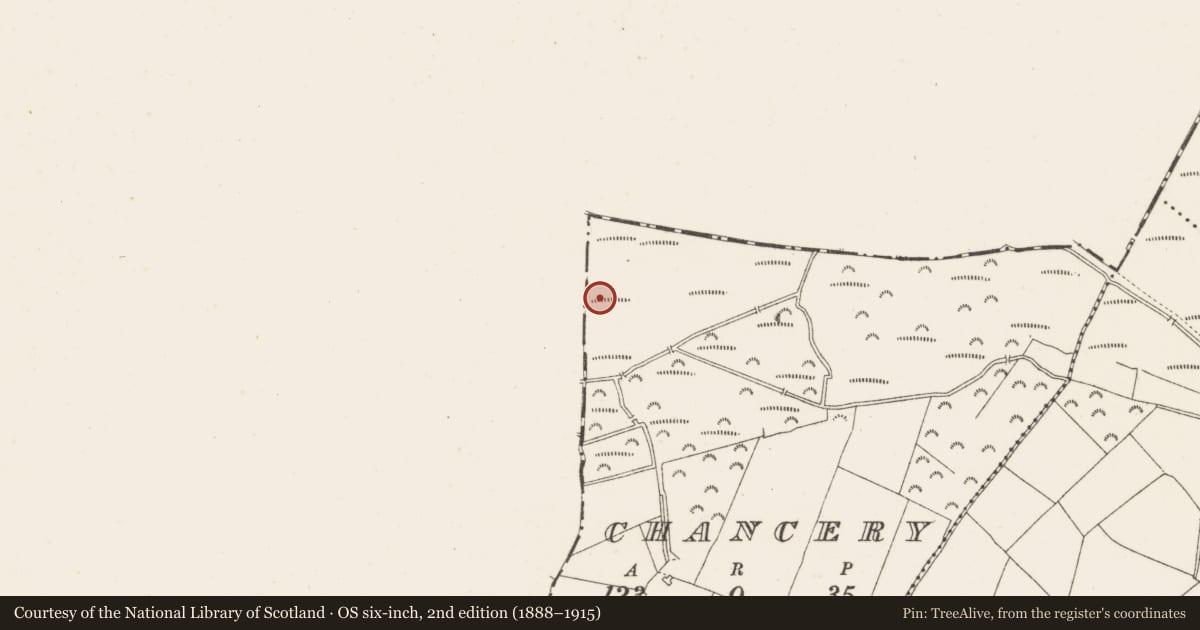 Ordnance Survey six-inch map, 2nd edition (1888–1915) covering the location of Road - class 1 togher, Chancery, County Westmeath, with a pin at the register's coordinates