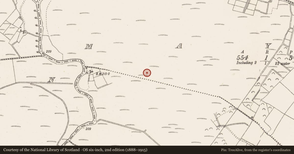 Ordnance Survey six-inch map, 2nd edition (1888–1915) covering the location of Road - class 1 togher, Mayne, County Westmeath, with a pin at the register's coordinates