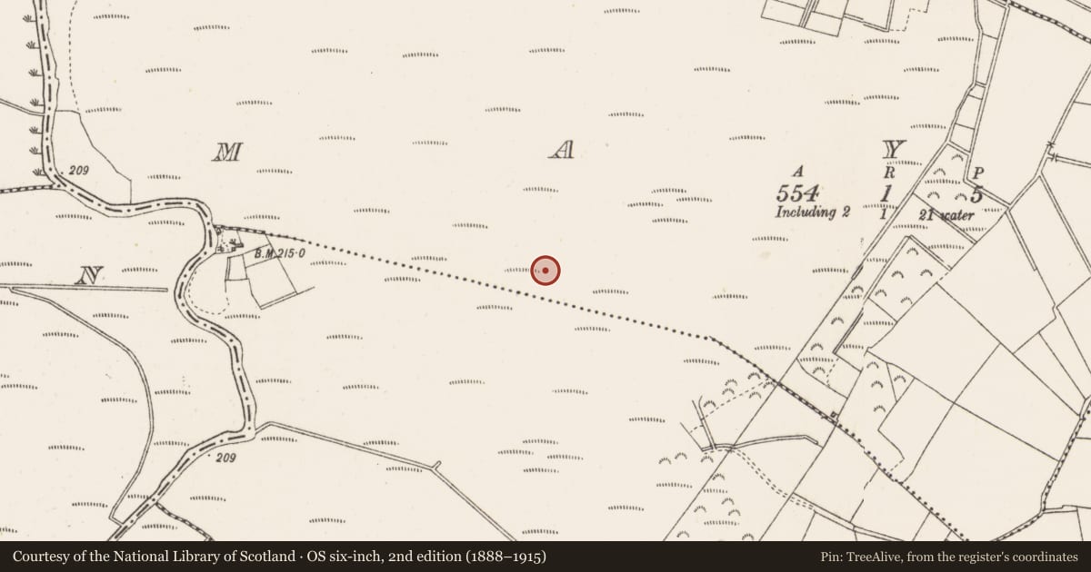 Ordnance Survey six-inch map, 2nd edition (1888–1915) covering the location of Road - class 1 togher, Mayne, County Westmeath, with a pin at the register's coordinates