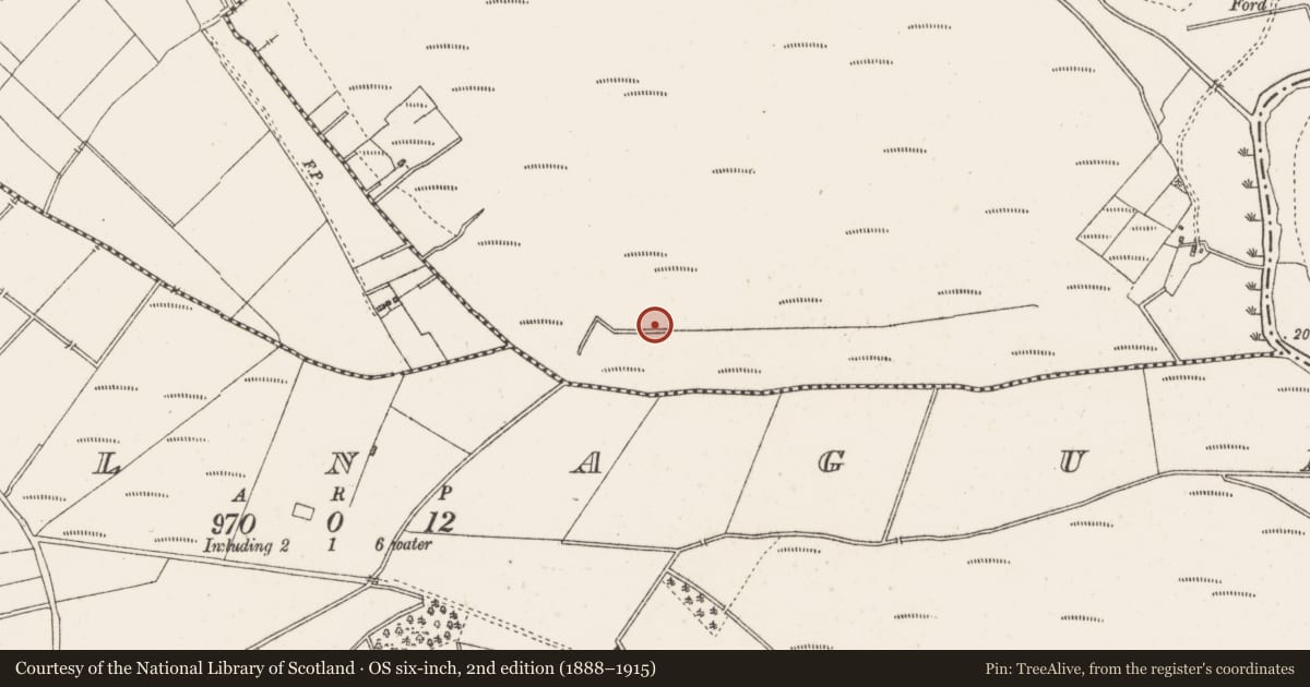 Ordnance Survey six-inch map, 2nd edition (1888–1915) covering the location of Road - class 1 togher, Corralanna, County Westmeath, with a pin at the register's coordinates