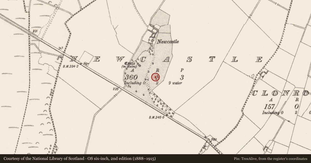 Ordnance Survey six-inch map, 2nd edition (1888–1915) covering the location of Ringfort - rath, Newcastle, County Westmeath, with a pin at the register's coordinates