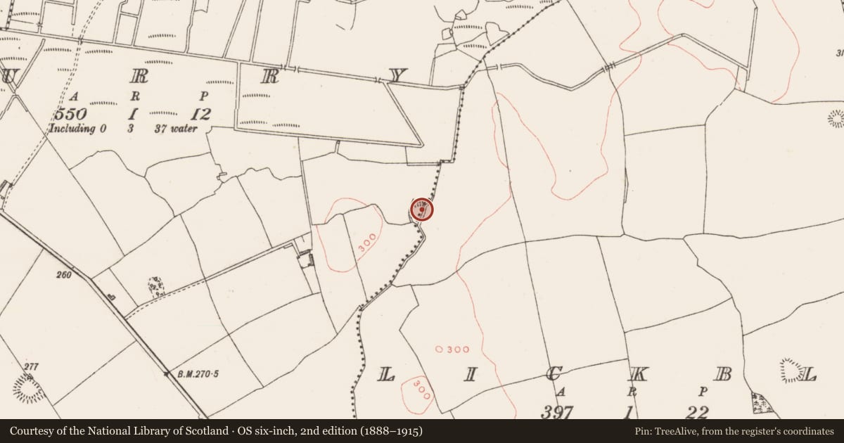 Ordnance Survey six-inch map, 2nd edition (1888–1915) covering the location of Ringfort - rath, Curry, Lickbla, County Westmeath, with a pin at the register's coordinates