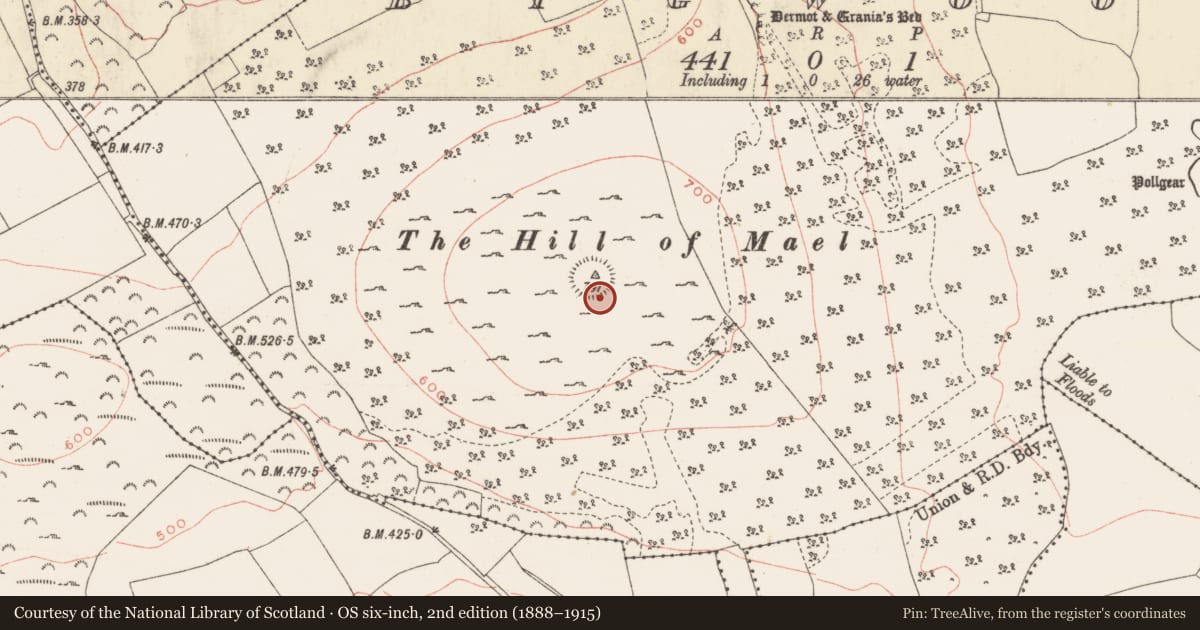 Ordnance Survey six-inch map, 2nd edition (1888–1915) covering the location of Hillfort, Bigwood, County Westmeath, with a pin at the register's coordinates