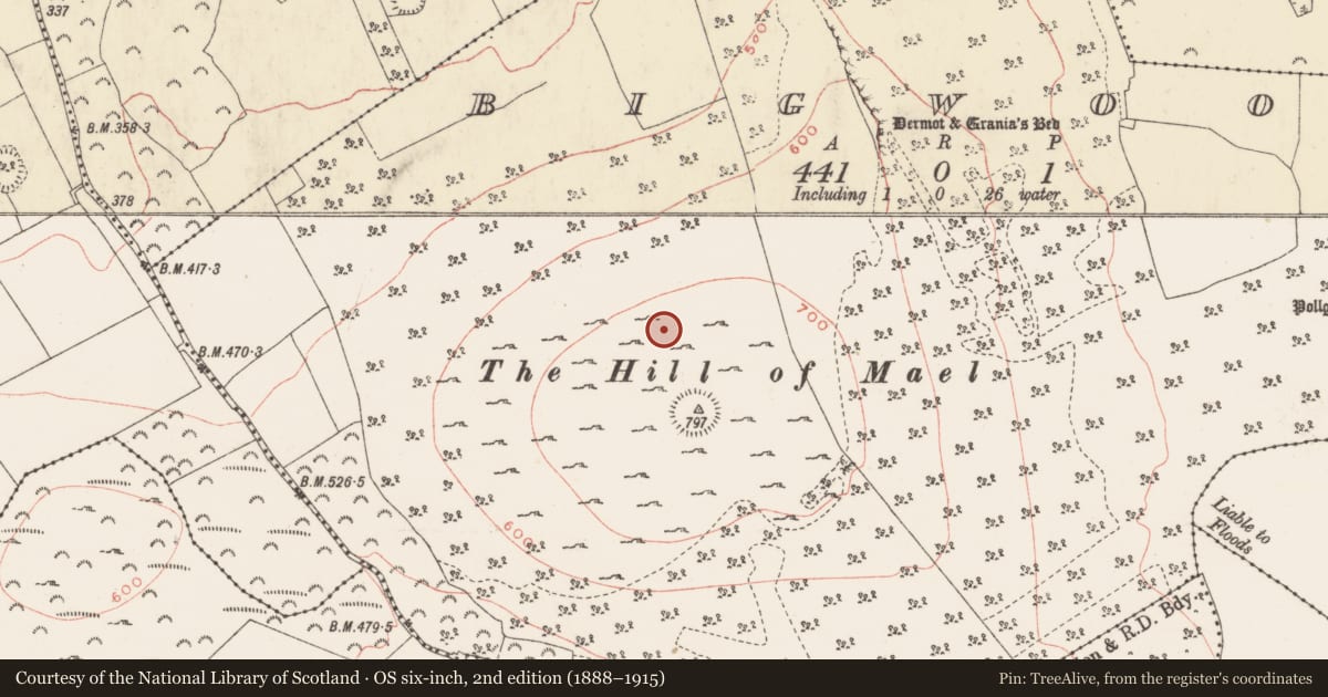 Ordnance Survey six-inch map, 2nd edition (1888–1915) covering the location of Field system, Bigwood, County Westmeath, with a pin at the register's coordinates