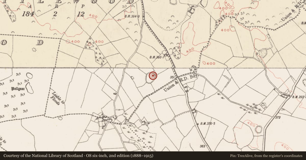 Ordnance Survey six-inch map, 2nd edition (1888–1915) covering the location of Hut site, Littlewood, County Westmeath, with a pin at the register's coordinates