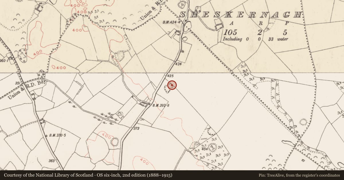 Ordnance Survey six-inch map, 2nd edition (1888–1915) covering the location of Ringfort - rath, Ballymanus, County Westmeath, with a pin at the register's coordinates
