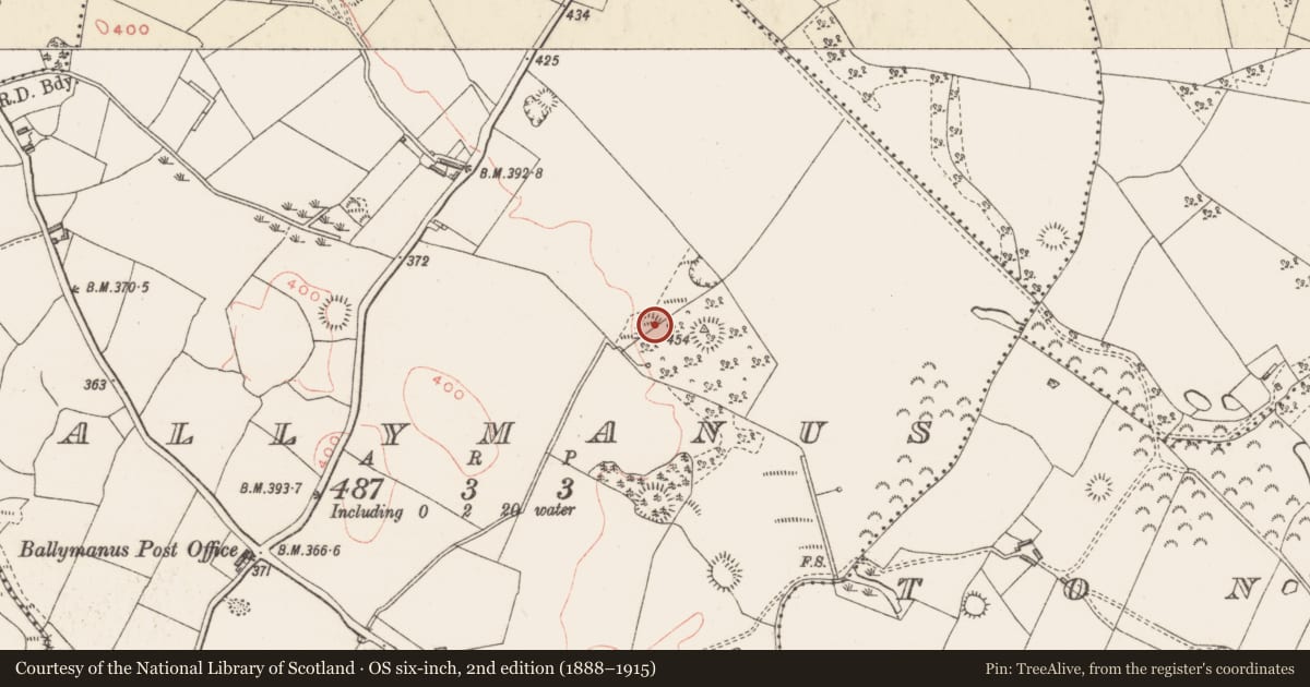 Ordnance Survey six-inch map, 2nd edition (1888–1915) covering the location of Ringfort - rath, Ballymanus, County Westmeath, with a pin at the register's coordinates