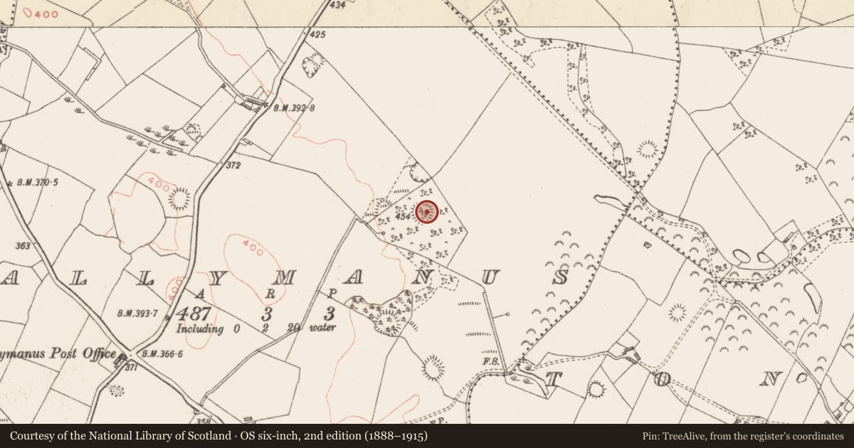 Ordnance Survey six-inch map, 2nd edition (1888–1915) covering the location of Ringfort - rath, Ballymanus, County Westmeath, with a pin at the register's coordinates