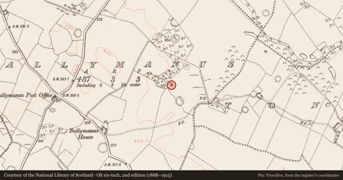 Ordnance Survey six-inch map, 2nd edition (1888–1915) covering the location of Ringfort - rath, Ballymanus, County Westmeath, with a pin at the register's coordinates