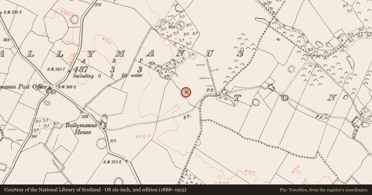 Ordnance Survey six-inch map, 2nd edition (1888–1915) covering the location of Ringfort - rath, Ballymanus, County Westmeath, with a pin at the register's coordinates