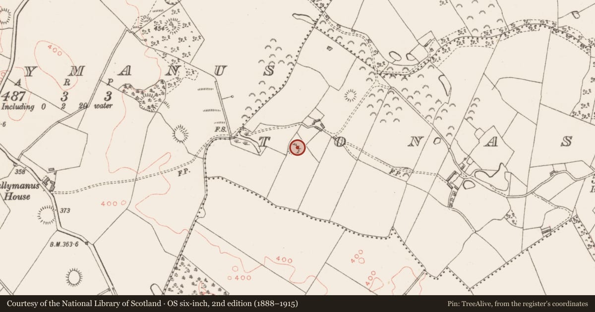 Ordnance Survey six-inch map, 2nd edition (1888–1915) covering the location of Ringfort - rath, Tonashammer, County Westmeath, with a pin at the register's coordinates