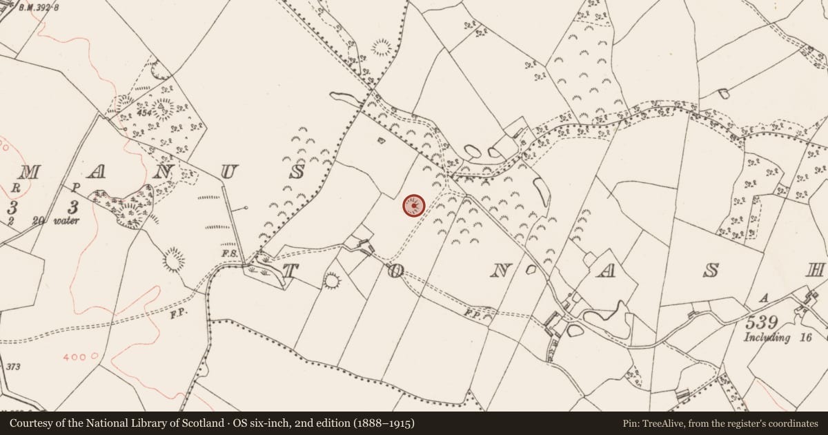 Ordnance Survey six-inch map, 2nd edition (1888–1915) covering the location of Ringfort - rath, Tonashammer, County Westmeath, with a pin at the register's coordinates