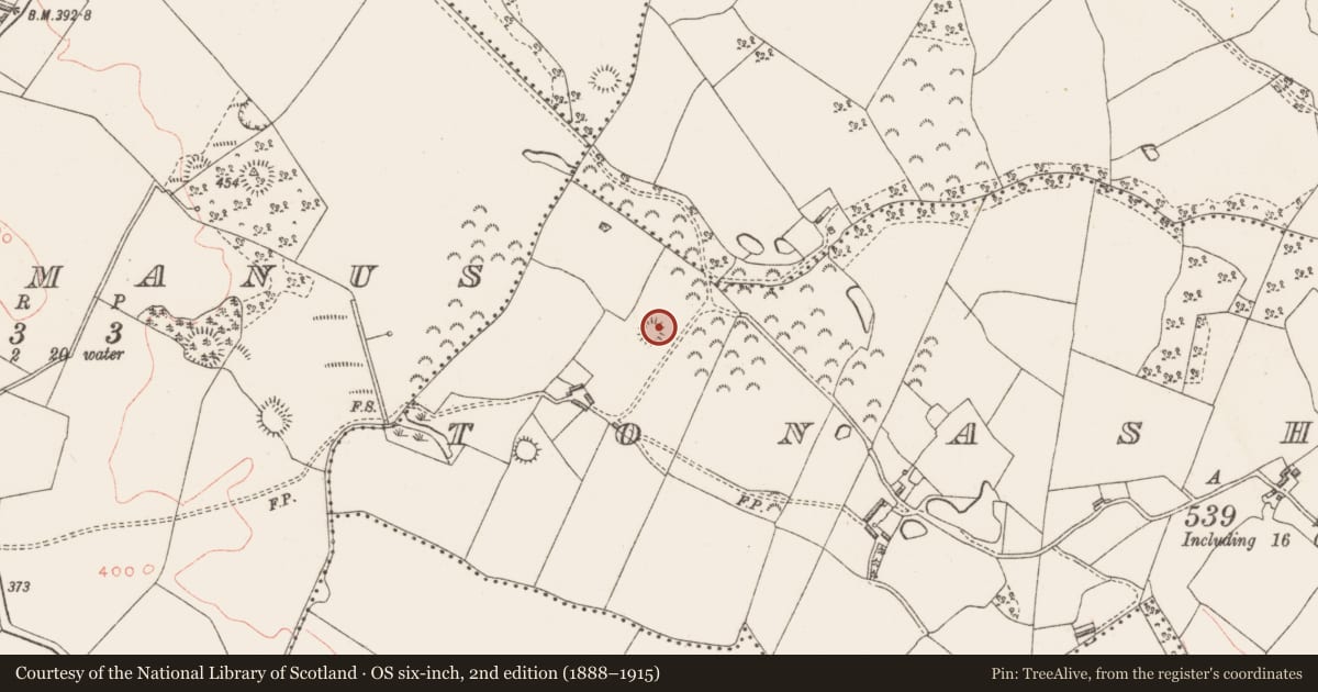 Ordnance Survey six-inch map, 2nd edition (1888–1915) covering the location of Hut site, Tonashammer, County Westmeath, with a pin at the register's coordinates