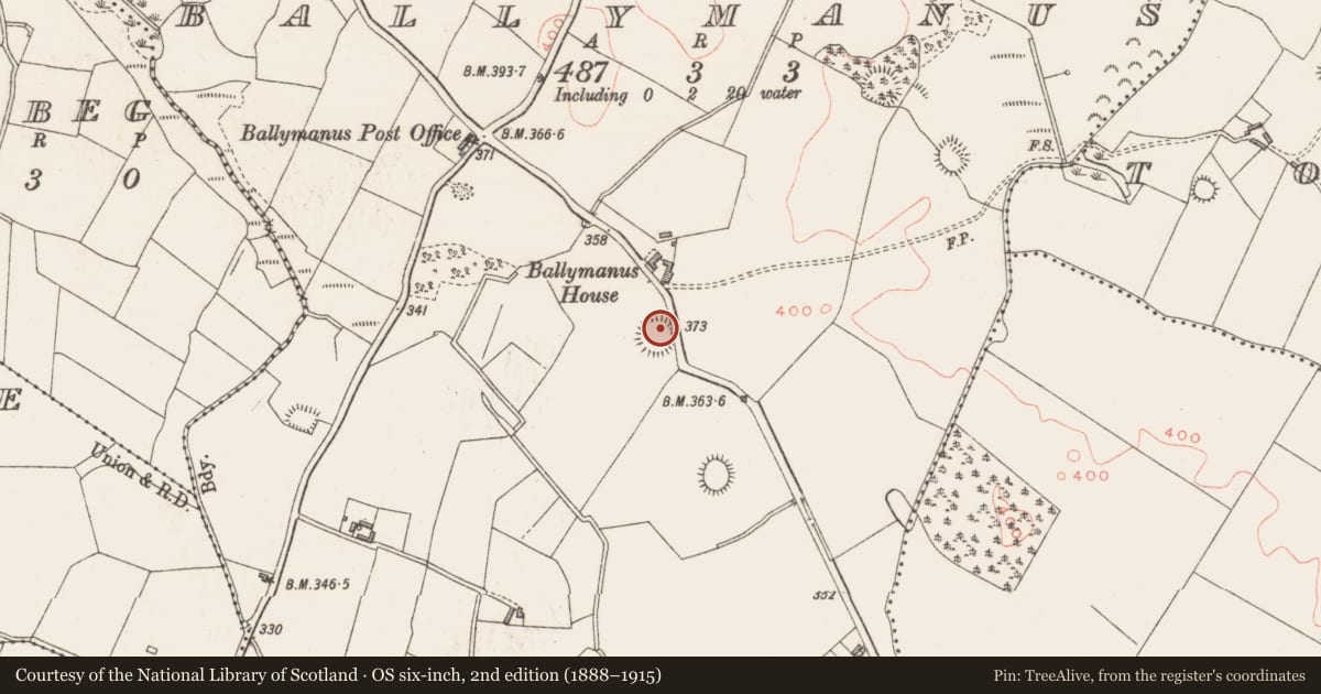 Ordnance Survey six-inch map, 2nd edition (1888–1915) covering the location of Ringfort - rath, Ballymanus, County Westmeath, with a pin at the register's coordinates