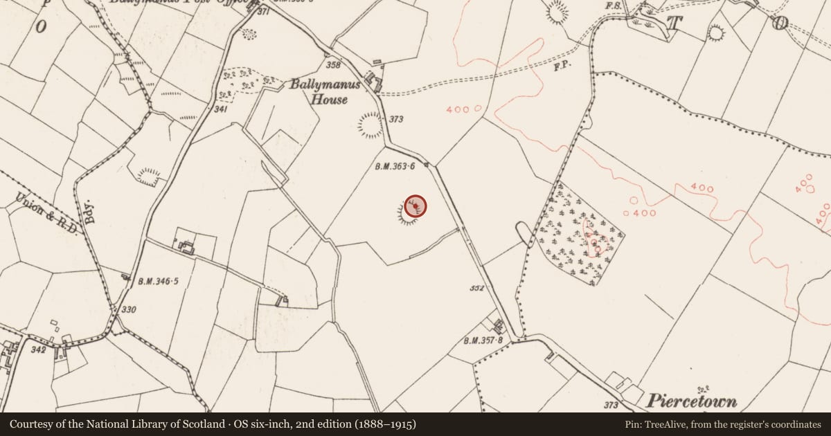 Ordnance Survey six-inch map, 2nd edition (1888–1915) covering the location of Hut site, Ballymanus, County Westmeath, with a pin at the register's coordinates