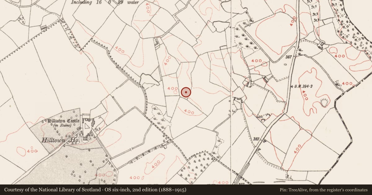 Ordnance Survey six-inch map, 2nd edition (1888–1915) covering the location of Ringfort - unclassified, Tonashammer, County Westmeath, with a pin at the register's coordinates