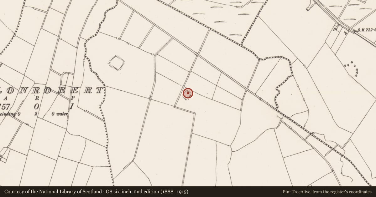 Ordnance Survey six-inch map, 2nd edition (1888–1915) covering the location of Enclosure, Ballynameagh, County Westmeath, with a pin at the register's coordinates