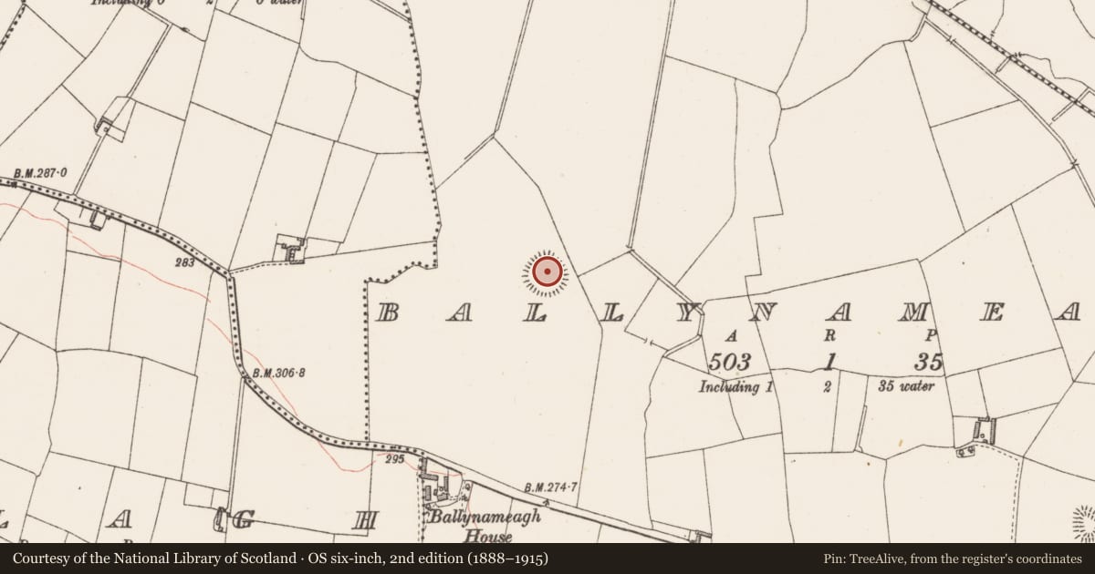 Ordnance Survey six-inch map, 2nd edition (1888–1915) covering the location of Ringfort - rath, Ballynameagh, County Westmeath, with a pin at the register's coordinates
