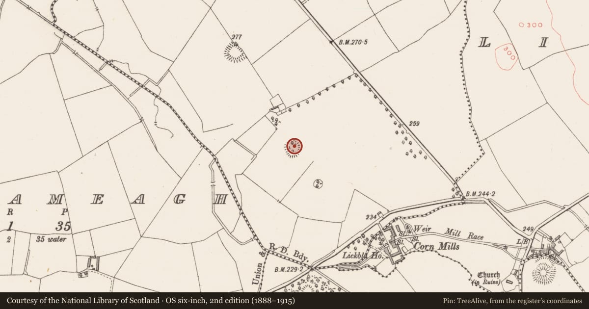 Ordnance Survey six-inch map, 2nd edition (1888–1915) covering the location of Designed landscape - tree-ring, Curry, County Westmeath, with a pin at the register's coordinates