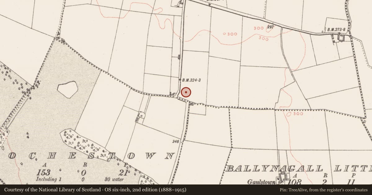 Ordnance Survey six-inch map, 2nd edition (1888–1915) covering the location of Ringfort - rath, Ballynameagh, County Westmeath, with a pin at the register's coordinates