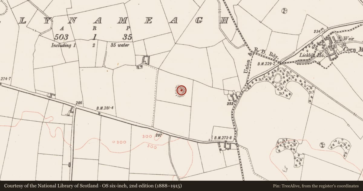 Ordnance Survey six-inch map, 2nd edition (1888–1915) covering the location of Ringfort - rath, Ballynameagh, County Westmeath, with a pin at the register's coordinates