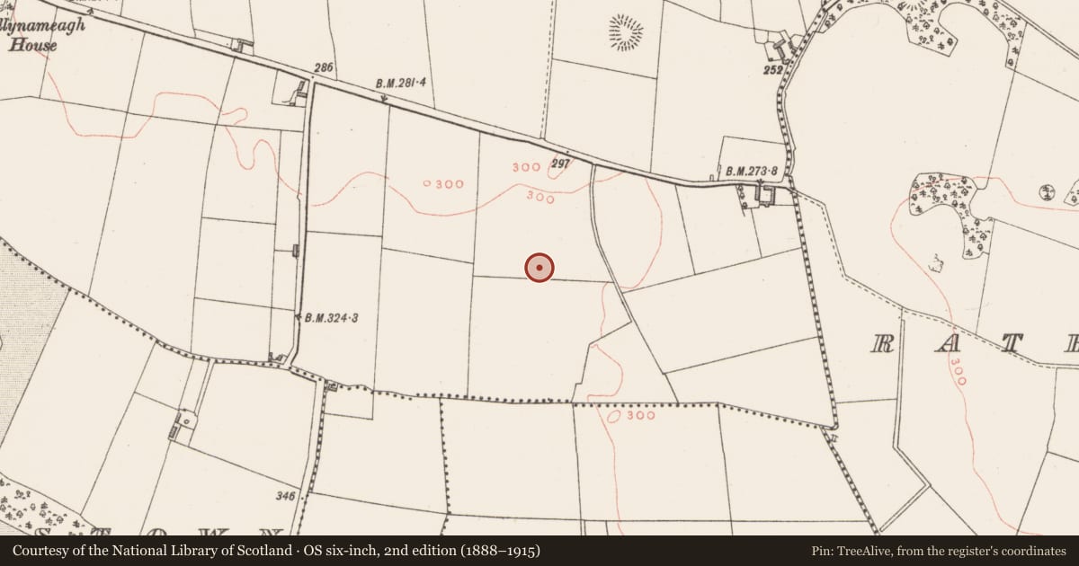 Ordnance Survey six-inch map, 2nd edition (1888–1915) covering the location of Ringfort - unclassified, Ballynameagh, County Westmeath, with a pin at the register's coordinates